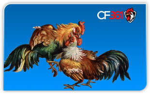 CF361
