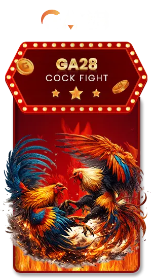 GA28_COCKFIGHT