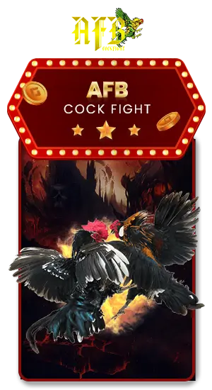 AFB_COCKFIGHT