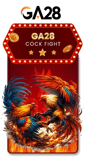 GA28_COCKFIGHT