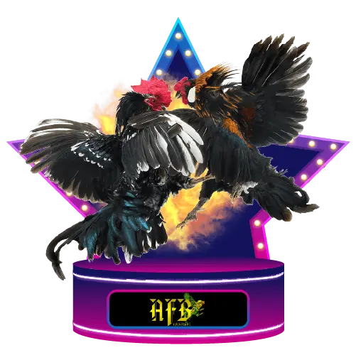 AFB_COCKFIGHT